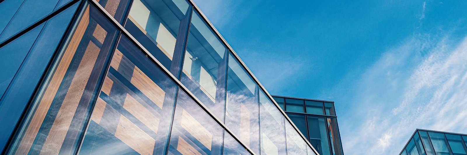 Empresa constructora en Algorta